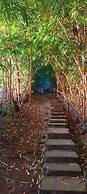 Rajgad Farms & Agritourism