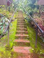 Rajgad Farms & Agritourism