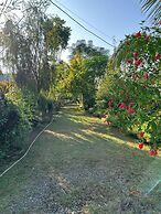 Jungle Side Luxury Hotel