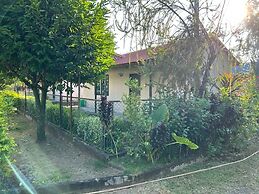 Jungle Side Luxury Hotel