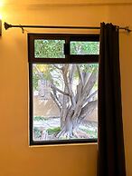 San Cayetano Experience