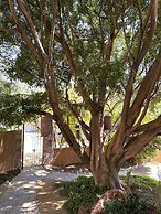 San Cayetano Experience