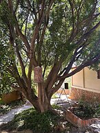 San Cayetano Experience