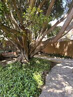 San Cayetano Experience