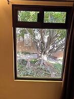 San Cayetano Experience