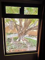 San Cayetano Experience