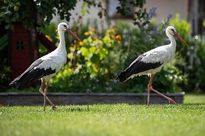Comfortable Holiday Homes for 4 People.-formerly TUI Ferienhaus