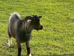 Aob Khao Resort and Camping