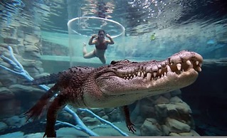 Majestic Manor Stylish Super Home Pool BBQ