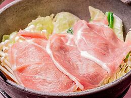 Goshikionsen Goshikinoyu ryokan