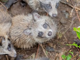 Goshikionsen Goshikinoyu ryokan