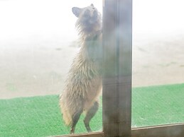 Goshikionsen Goshikinoyu ryokan