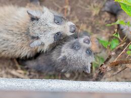 Goshikionsen Goshikinoyu ryokan