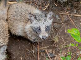 Goshikionsen Goshikinoyu ryokan
