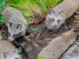 Goshikionsen Goshikinoyu ryokan