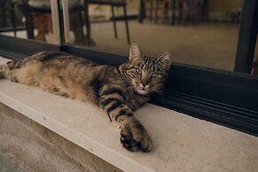 Hotel Ristorante La Dama nella Vigna