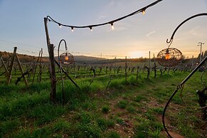 Hotel Ristorante La Dama nella Vigna