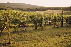 Hotel Ristorante La Dama nella Vigna