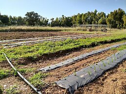 Guesthouse Pintadera