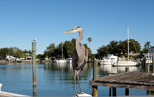 Villa Capri - Waterfront Luxury Home - Punta Gorda FL