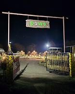 PAWS AT TIPESHWAR