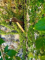 Casa Jasmin Troncones