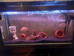 Deurali Marwadi Hotel & Restaurant