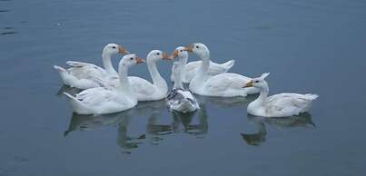 Lake Twenty Thousand Farm & Retreat