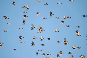 Lake Twenty Thousand Farm & Retreat