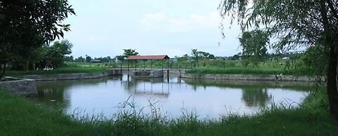 Lake Twenty Thousand Farm & Retreat