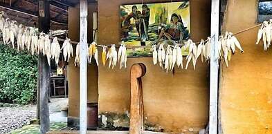 Lake Twenty Thousand Farm & Retreat