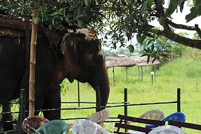 Lake Twenty Thousand Farm & Retreat