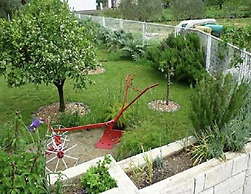 Nice Apartment With Balcony