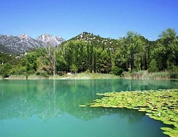 Nice Apartment With Balcony