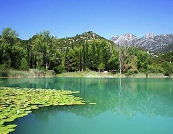 Nice Apartment With Balcony