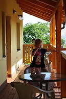PENZION POD PALAVU