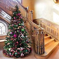 Summer Street Guest House