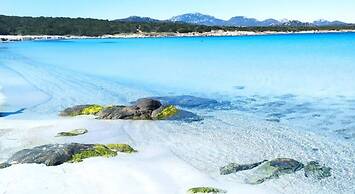 Porto Rotondo - Appartamento in Centro, 8 Minuti Da Spiaggia Ira