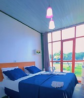 Pedro Alexandre Da Costa