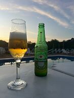 Pedro Alexandre Da Costa