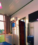 Pedro Alexandre Da Costa