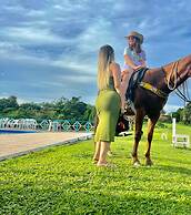 Pedro Alexandre Da Costa