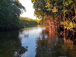 Leleana Resort Kolombangara