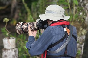 Leleana Resort Kolombangara