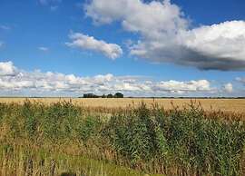 Bungalow by Water Near Rotterdam