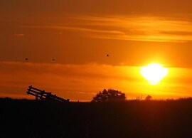 Bungalow by Water Near Rotterdam