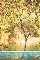 Yakamoz qianchuan Hotel