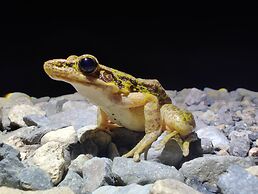 Yakamoz qianchuan Hotel