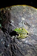 Yakamoz qianchuan Hotel