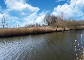 Lovely Holiday Home on Water With Garden